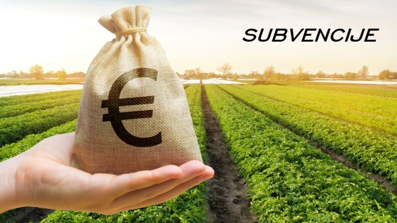 Subvencije 2026. – privatna preduzeća